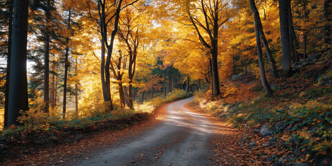 Obraz premium Autumn forest road with golden leaves, cozy warm sunlight, winding path in perspective. Perfect scenic fall stock image for seasonal content. 