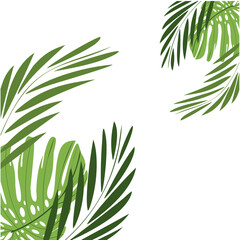 ornamental leaf group frame green plant transparent background