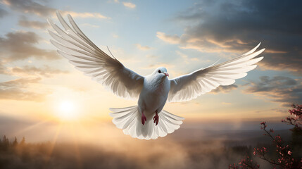 Obraz premium White dove in flight against a dramatic sky at sunset, symbolizing peace and freedom