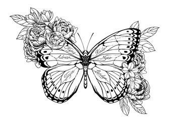 black and white butterfly