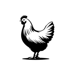 Beautiful Hen Vector Illustration – Farmyard Domestic Poultry