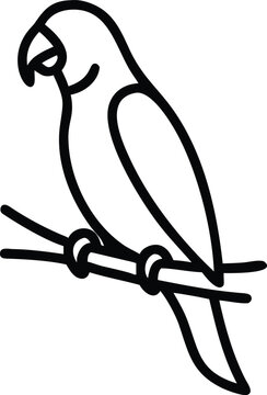 vector illustration of a parot