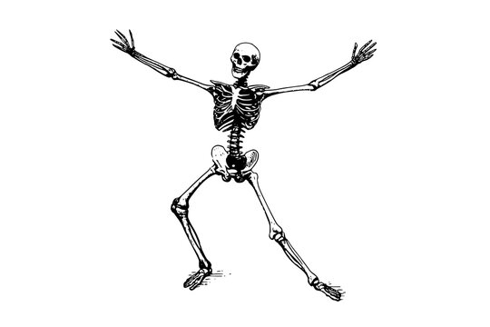 a drawing of a human skeleton stretching with arms outstretchedarm, broom, dance, drawing, illustration, limb, man, muscle, person, pose, skeleton, skull, strawman 