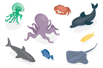 Sea animals vector illustration set. Marine life. Shark, Dolphin, Fish, Octopus, Jellyfish, Crab, Stingray. Flat isometric vector poster on white background.