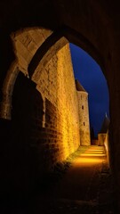 Naklejka premium Les remparts de la cité de Carcassonne au crépuscule