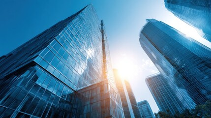 Modern Metropolis: Skyscrapers Reaching for the Sun