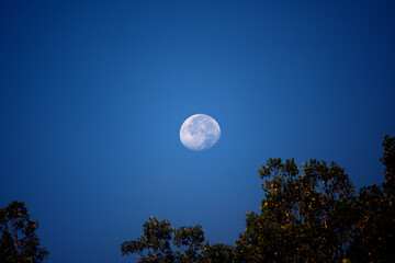 Bright Moon on fall morning