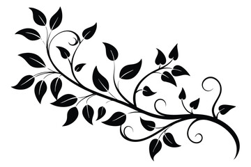 Black Silhouette of Elegant Vines and Leaves, Decorative Flourish for Graphic Design