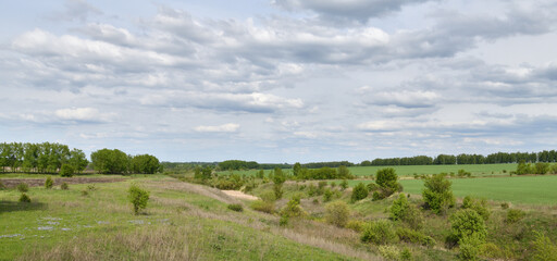 Obraz premium Panorama of a country summer landscape in the Tula region in Russia