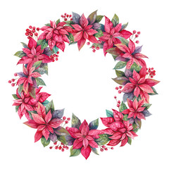 Poinsettia Christmas winter flower and holly berries on branches hand drawn watercolor illustration isolated on white. Bright red winter floral wreath for interior, New Year, holiday, festive designs