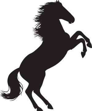 hores silhouette vector on white background