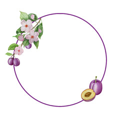 Branch with plums, set of purple berries on isolated white background, botanical illustration hand drawn watercolor, ripe fruit