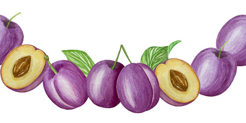 Branch with plums, set of purple berries on isolated white background, botanical illustration hand drawn watercolor, ripe fruit