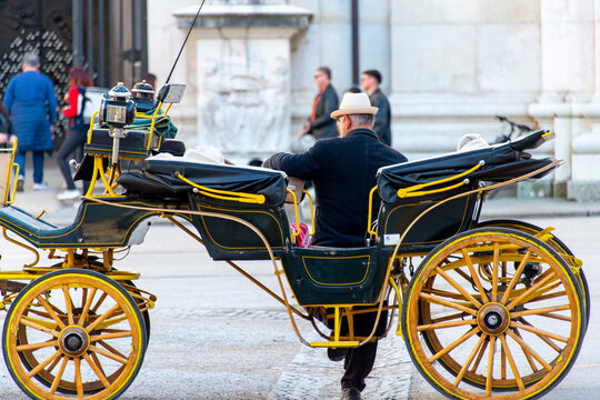 Touristic Horse-Drawn Carriage in Salzburg - Austria