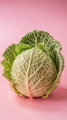 cabbage isolated on white background in a studio setting