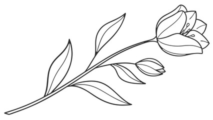 Minimal hand-drawn thin line flower outline doodle vector, elegant rose or tulip floral illustration, modern botanical icon for stickers, planners, and lifestyle design.