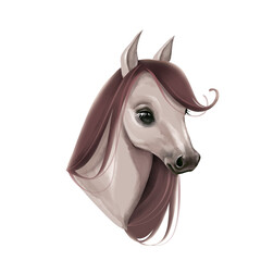 Hand-drawn illustration of a graceful horse's head with a flowing mane and a dark, soulful eye. Elegant animal portrait