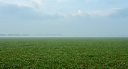 A serene and expansive green field stretches to a distant, foggy horizon under a soft, hazy sky