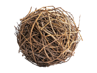 Tumbleweed globe, light brown twigs tangled and dried, on a black background