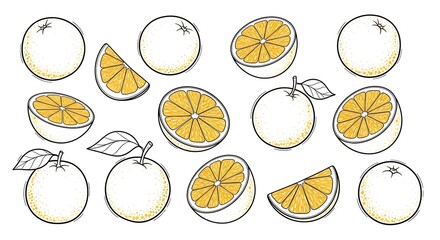 Collection of Hand Drawn Oranges and Orange Slices.
