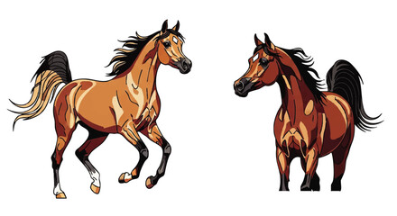 A pair of elegant Arabian horses illustrated in a dynamic, graphic style with flowing manes.
