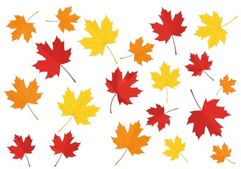 A vibrant collection of scattered red, orange, and yellow autumn maple leaves on a white background