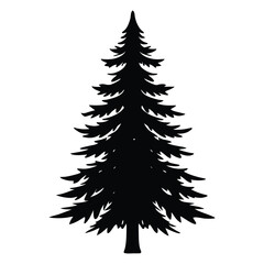 Black silhouette of a tall evergreen tree