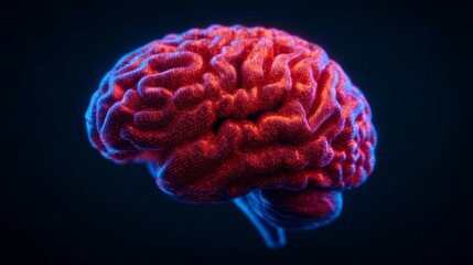 A vibrant, stylized representation of a human brain, featuring intricate details in red and blue against a dark background, symbolizing creativity and intelligence.