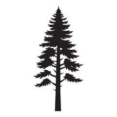Tall silhouette of a pine tree against a white background