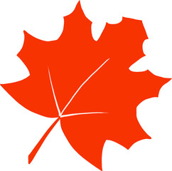 Obraz premium Maple 낙옆