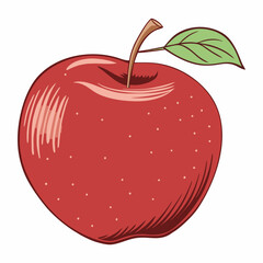 Red Apple with Stem and Leaf Hand Drawn Illustration