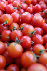 Their oval shape varies subtly, with some more rounded and others elongated. A few tomatoes still have their green stems attached, adding a pop of contrast and signaling freshness.