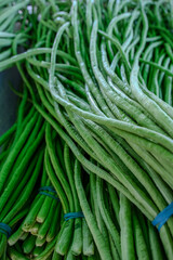 Bundled yardlong beans, vibrant green