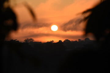 sunset on the rainforest