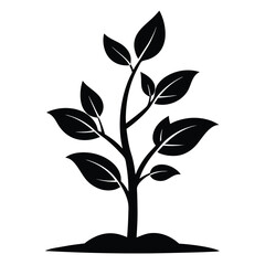 growing plant phase black and white silhouette