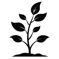 growing plant phase black and white silhouette