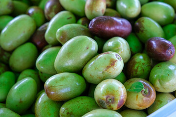 The image shows a close-up pile of jujube fruits, also known as Chinese dates. Most of the fruits are green, indicating early ripeness, while a few are transitioning to reddish-brown, showing the natu