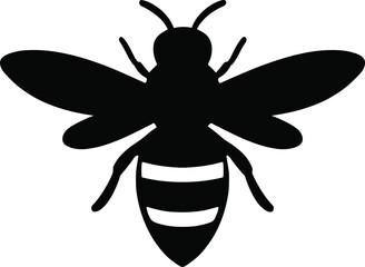 Minimal vector silhouette, bee top view symmetrical wings open, solid black