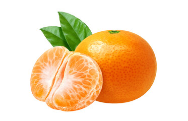 みかん イラスト リアル 果物	