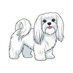 Maltese head full body, cartoon vector digital art illustration, isolated on white transparent background