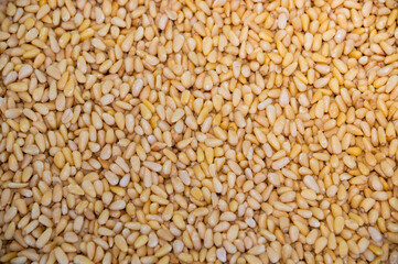 A large pile of pine nuts, hundreds of them. Close-up