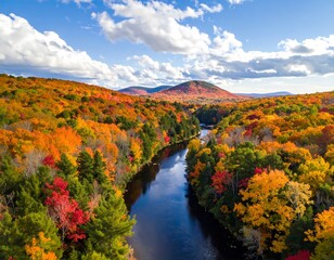 Aerial view of a vibrant autumn forest with a river in upstate new york