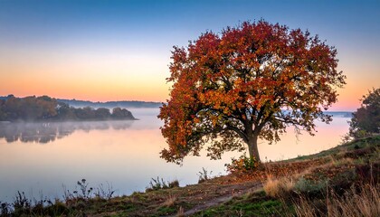 A serene autumnal landscape with a vibrant tree by a still river at sunrise.