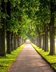 Obraz premium A path lined with lush trees