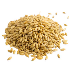 Obraz premium Pile of Raw Barley Grain Isolated on Transparent Background PNG – Natural Whole Food and Organic Ingredient Element