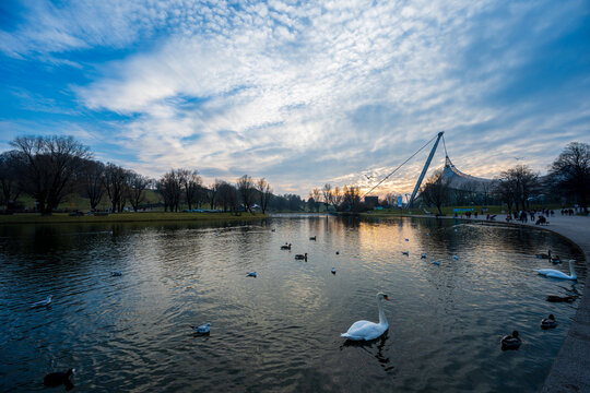 Olympiapark M&uuml;nchen bei Sonnenuntergang mit See, Schw&auml;nen und ikonischer Zeltdacharchitektur