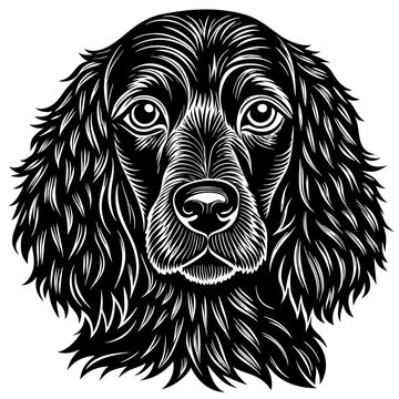 Black boykin spaniel silhouette on white background design