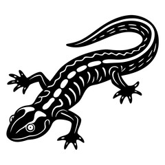 Obraz premium Brown newt illustration on white background with black design elements