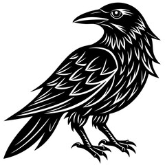 Striking black crow silhouette on a clean white background