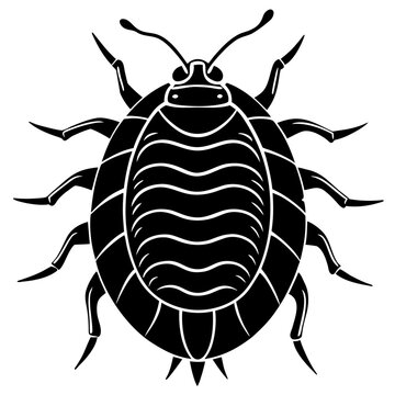 Black and white mealybug insect design on a clean background